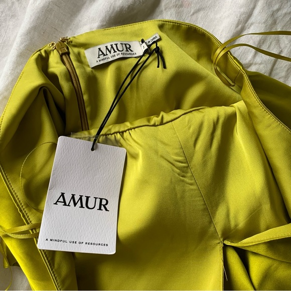 NWT Amur Dixon Dress Citrine Green Halter Pleated Sz 2 - Picture 7 of 11